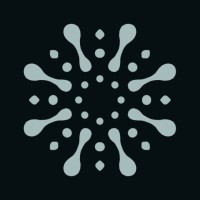 Toplink Design Studio logo - Similar company to Project Snapshot