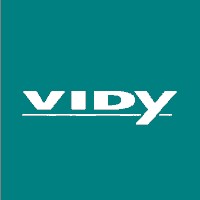 Grupo Vidy logo - Similar company to Grupo Vidy