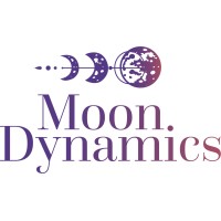 Moon Dynamics logo - Similar company to Luna Dynamics