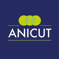 Anicut Capital logo - Similar company to Themedium.Store
