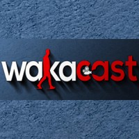 Wakacast logo - Similar company to Animator'S