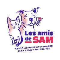 . logo - Similar company to Maison Bernadette