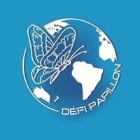 Défi Papillon 🦋 logo - Similar company to Bee Impact