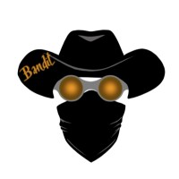 Bandit Sunglasses