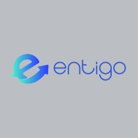 Entigo logo - Similar company to Entigo