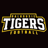 Dalhousie Football Club logo - Similar company to Pacifico