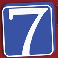Seven Web Hosting Services logo - Similar company to Web Solutions Ph