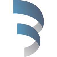 Buckingham Advisors logo - Similar company to Centric Financial Group