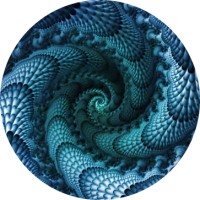 Sekuen logo - Similar company to Roboshadow