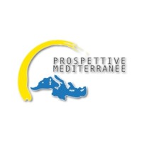 Prospettive Mediterranee logo - Similar company to The Mediterranean Perspective