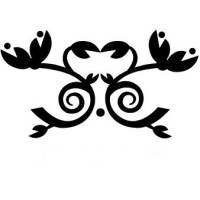Swimwear Canvas Co. logo - Similar company to Oxigeno Swimwear & Activewear