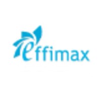 Effimax Process Systems Private Limited logo - Similar company to Society For Metallurgical Engineering Students, Nit Jamshedpur