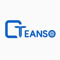Teanso logo - Similar company to Omeon Systems
