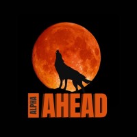 Alpha Ahead logo - Similar company to Zingo Assist