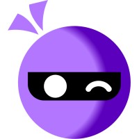 NetNinja logo - Similar company to Ultimate Courses