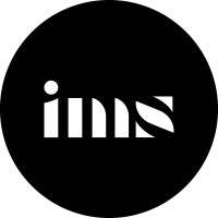 Immersive Strategies logo - Similar company to Catalyz - An Innovation And Design Research Firm
