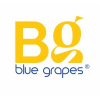 Blue Grapes Marketing logo - Similar company to Digitalize.Comm