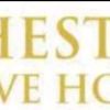 Joshesther olive hotel