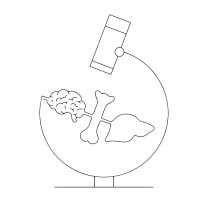 ImAge-D | Marie Skłodowska-Curie Actions logo - Similar company to Juami – Joint Undertaking For An African Materials Institute