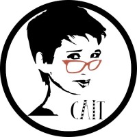 CaiT Systems, LLC logo - Similar company to Cait, Inc.