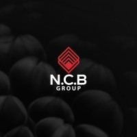 NCB Group logo - Similar company to Fileroleplus