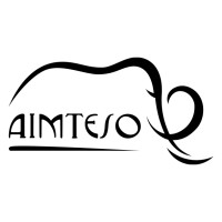 AIMTESO logo - Similar company to Bigint