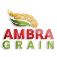 AMBRA GRAIN logo - Similar company to X