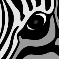 Angry Zebra Studio logo - Similar company to Studio Room