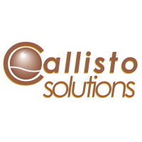 Callisto Solutions Inc. logo - Similar company to Networking Dynamics Corporation