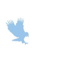 Eagle Solution, LLC logo - Similar company to Sovatech Systems Inc.