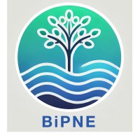 BiPNE logo - Similar company to Centre Enikos
