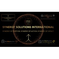 SYNERGY SOLUTIONS INTERNATIONAL INC logo - Similar company to Synergy Solutions