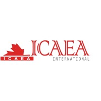 ICAEA - International Computer Auditing Education Association logo - Similar company to Amber Packaging Limited