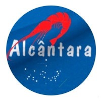 alcantaraspace logo - Similar company to Mattzero