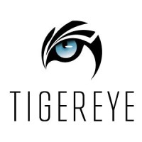 株式会社TIGEREYE logo - Similar company to Flight Frame Inc.