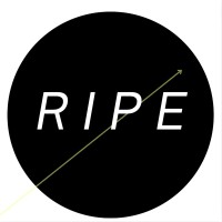 RIPE World logo - Similar company to Dasvandh Network
