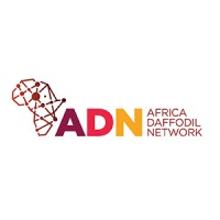 AFRICA DAFFODIL NETWORK logo - Similar company to Belfor Tech Consultants