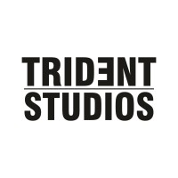 TRIDENT STUDIOS LLP logo - Similar company to Veenvisualz®