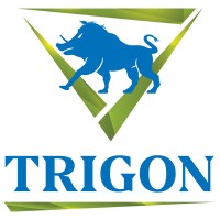 Trigon Creative logo - Similar company to Turtle Transit, Inc.