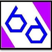 BluSpice Investments logo - Similar company to African Professionals Of Australia (Apa) - Victoria