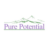 Pure Potential Consulting logo - Similar company to Mindful Peak Performance