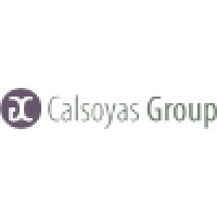 The Calsoyas Group, Llc