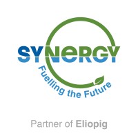 SYNERGY SRL logo - Similar company to Fluitech S.R.L.