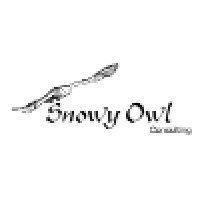 Snowy Owl Consulting