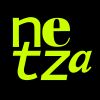 netza.ag logo - Similar company to Digital.Ws