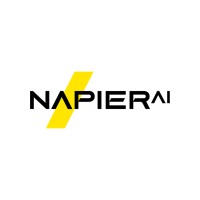 Napier AI logo - Similar company to Complyadvantage