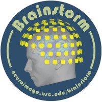 Brainstorm Multimodal Neuroimaging logo - Similar company to Technova Consulting Llc