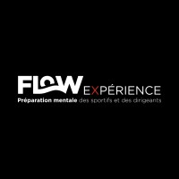 Flow Experience