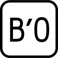 BlackOne logo - Similar company to Blufvpn