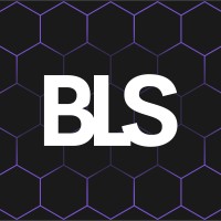 BLS logo - Similar company to Lanzon Design Ltd
